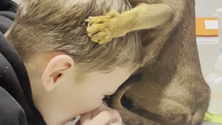 Cat Grooms Boy's Head