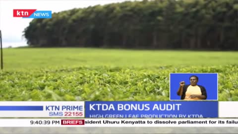 Bonus Audit- KTDA prepares to declare the second and final bonus payment to its farmers