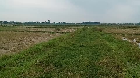 Vietnam rural landscape