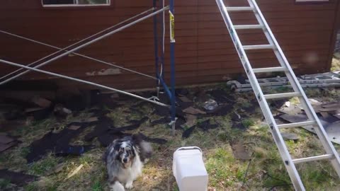 Ripping the ROOF OFF of ABANDONED LAKEFRONT Home (removing shingles)