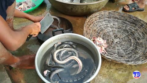 Amazing 2 Children Cook Snake For Dinner - How to Cook Snake in Cambodia