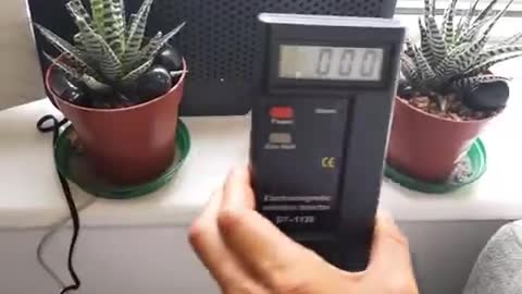 USE SHUNGITE AND PLANTS TO BLOCK EMFS FROM YOUR ROUTER