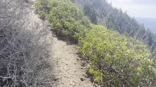 Climbing Towards the Black Butte Summit – Deschutes National Forest – Central Oregon – 4K