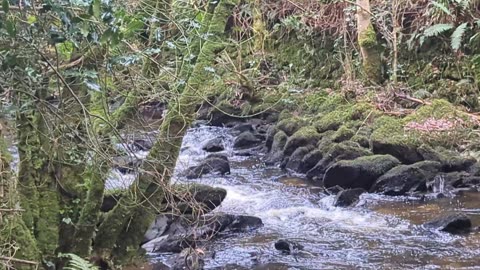 Hiking in Wicklow, Vartry river, Ireland