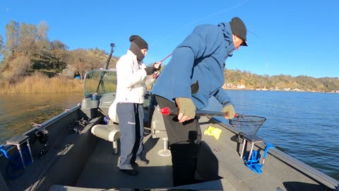 BRENDA HAS A BIG DROP SHOT CATFISH!