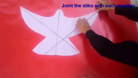 How to Make PIGEON Kite Making Patang Kite Making Simple Flying Test Kite