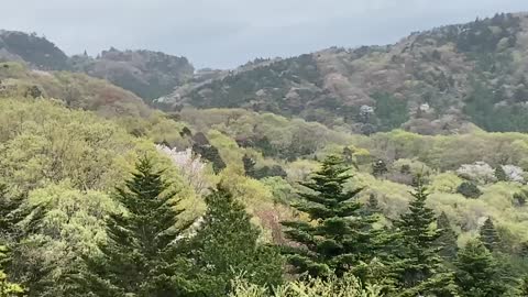 Pinkish Mt Tsukuba Japan 🇯🇵