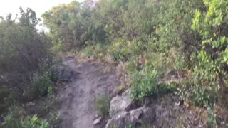 Basin Speed Run (Warning!! Shaky footage)