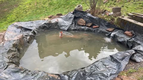 BIG fish pond update! The trout will be HAPPY!!
