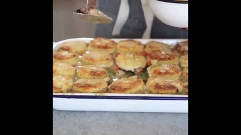 Chicken & Biscuit Pot Pie Recipes