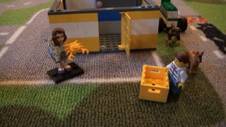 Our Lego Story; Fresh Seafood Delivery for Mom (Motion Video starts at 0:28)