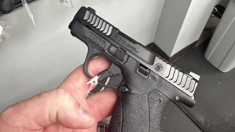 The new Smith and Wesson Bodyguard2.0