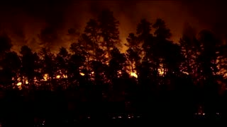 Wildfire burns in New Jersey's Wharton State Forest