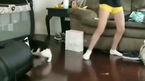 Cat hates owner's mom, repeatedly attacks her