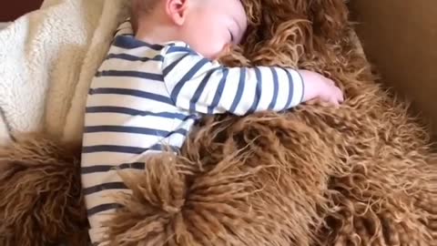 The baby sleeping on the chair with dog