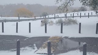 Snowy New Mexico