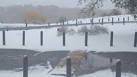 Snowy New Mexico