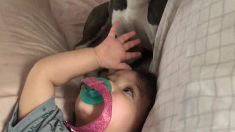 Baby and her new puppy play and giggle