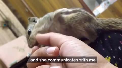 Baby Squirrel is all grown up & demands attention