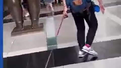 Lazy pug refuses to walk at New York shopping mall