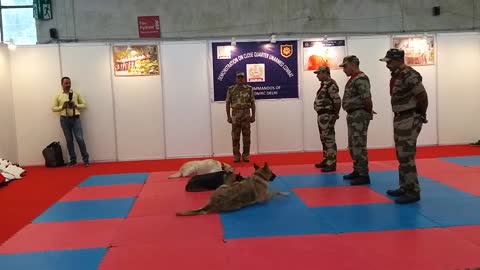 Demonstration of Dog Squad