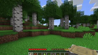 Minecraft 1-1.16.5 A new beginning_1