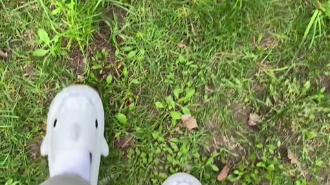 Walking Time With Shark Slippers