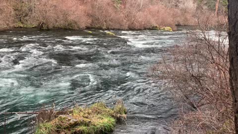 Beautiful Section of Wild Metolius River – Central Oregon