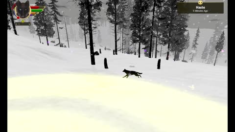 WolfQuest persistant packs update 05