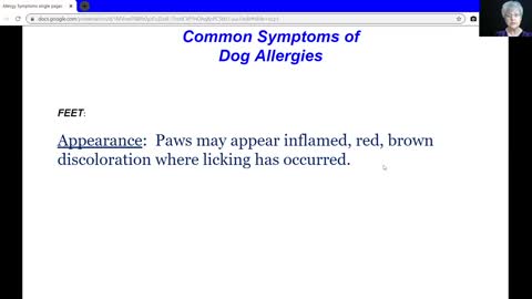 Dog Allergy - What Area of the Body Is Your Dog Itchy