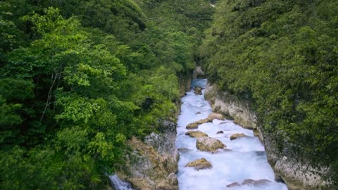 Beautiful River Panoramic View