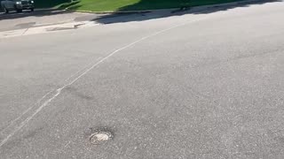 Man Struggles To Remove Rock From Under Car