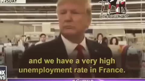 Donald Trump Said This To Reporter From France!