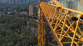 Tower crane boom