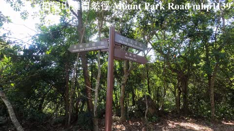 柏架山道大風坳一小時賞東區市景, 鰂魚涌＞柏架山道自然徑, Mount Park Road, mhp1139, Feb 2021