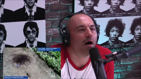 Joe Rogan Experience #674 - Brian Redban.mp4