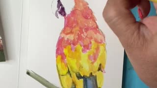 Pete the Parrot