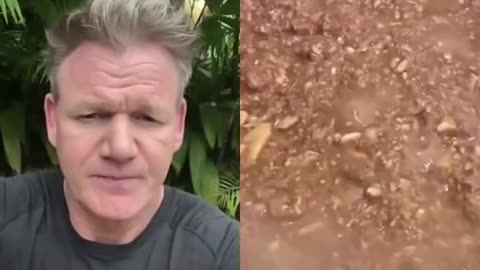 Gordon Ramsay likes the food on TikTok