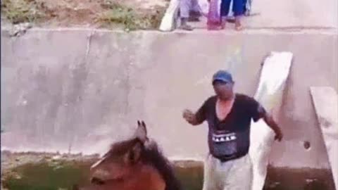 Woman Distraught Over Men Moving Horse