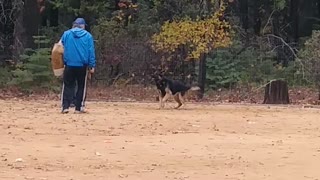 Blitz training with Eric at Lower Lassen K9