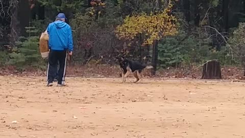 Blitz training with Eric at Lower Lassen K9