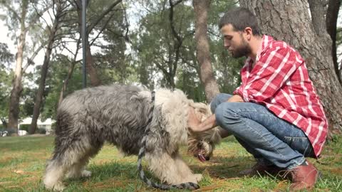 Man in a park strokes his dog down