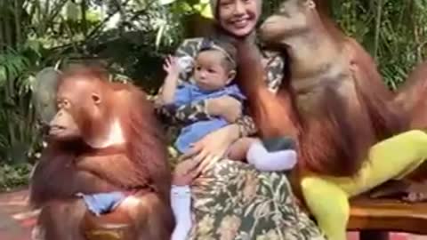 Family playing with monkey