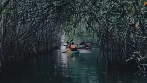 Natural stream of beautiful river