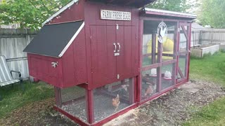 Our Simple Suburban Living Chicken Coop Build Modified for the Deep Litter Method