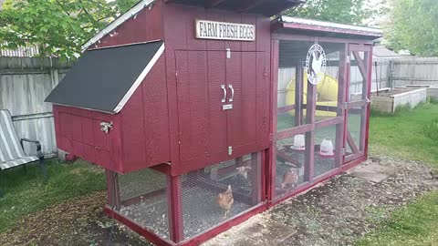Our Simple Suburban Living Chicken Coop Build Modified for the Deep Litter Method