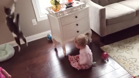 Funny Cat And Babies Playing Together Animals Trolling Babies