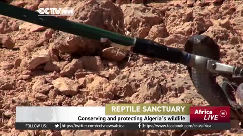 One man's effort to conserve and protect Algeria's wildlife