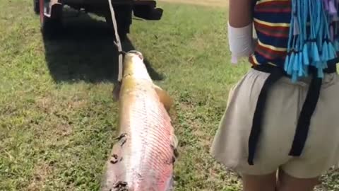 Close-up people caught a giant fish