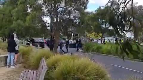 Police go out in force to patrol a park in the suburbs of Victoria.